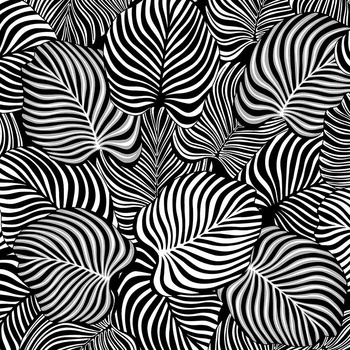 ZEBRA LEAVES
