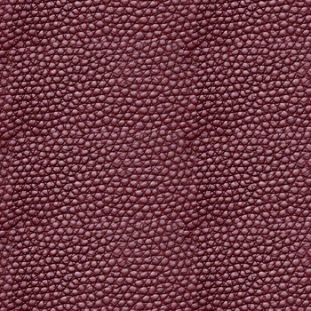 Leather Pattern wz.9