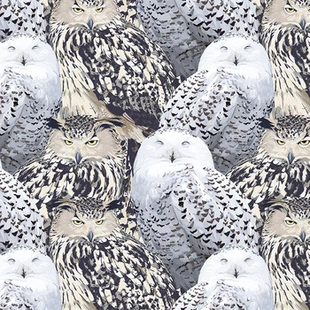 EAGLE-OWLS