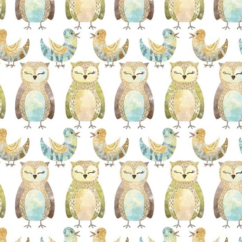 OWLS AND BIRDS (FOREST ANIMALS)